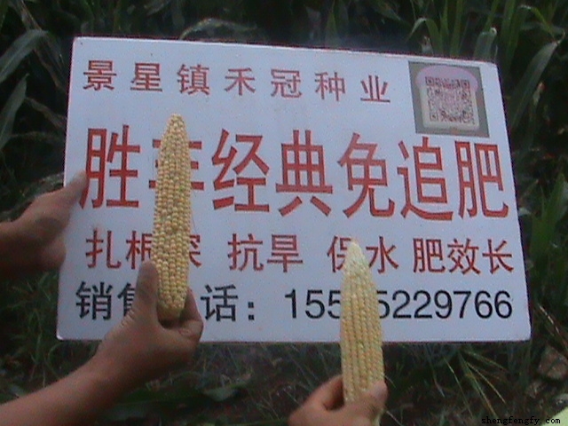东北回访